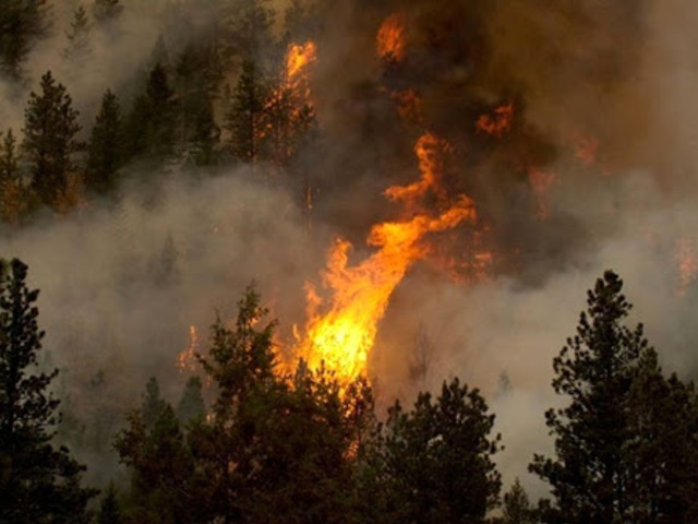 Revoca dello stato di massima pericolosità per gli incendi boschivi dal 8 marzo 2022
